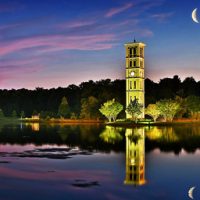 Furman University Stock Photography Fall Leaves