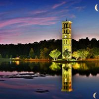 Furman University Stock Photography Fall Leaves